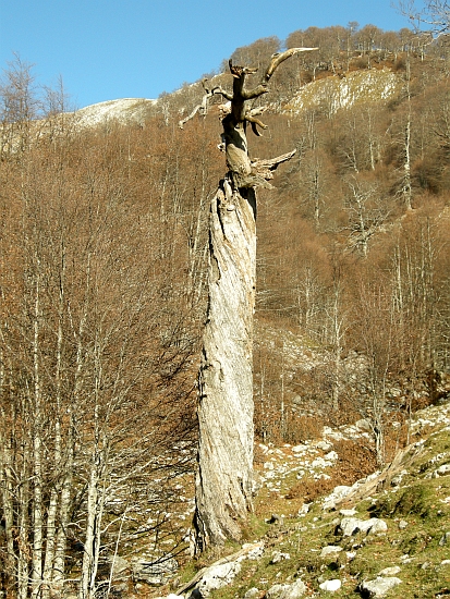 PNA - Nel regno del camoscio d''Abruzzo - monti della Meta